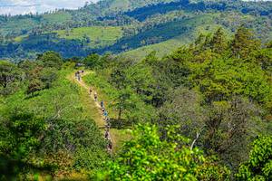 BIB: 
                            <button type="button" onclick="openModal(19371130)" class="btn btn-primary btn-sm float-right btn-popup" data-toggle="modal" data-target=".modal-high-quality">
                        <i class="fas fa-shopping-cart"></i> Add to Cart
                    </button>
                                            <button type="button" onclick="isThisMe(19371130, true)" class="btn btn-success btn-sm float-right btn-popup btn-isme hidden" data-toggle="tooltip" data-placement="bottom" title="นี่คือรูปของคุณใช่ไหม คลิกที่นี่เพื่อเอาเข้าอัลบั้ม">
                        <i class="fas fa-plus"></i> Add to album
                    </button>
                    <button type="button" onclick="isThisMe(19371130, false)" class="btn btn-warning btn-sm float-right btn-popup btn-isnotme hidden">
                        <i class="fas fa-ban"></i> Remove from album
                    </button>