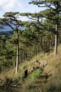 BIB: 
                            <button type="button" onclick="openModal(19369649)" class="btn btn-primary btn-sm float-right btn-popup" data-toggle="modal" data-target=".modal-high-quality">
                        <i class="fas fa-shopping-cart"></i> Add to Cart
                    </button>
                                            <button type="button" onclick="isThisMe(19369649, true)" class="btn btn-success btn-sm float-right btn-popup btn-isme hidden" data-toggle="tooltip" data-placement="bottom" title="นี่คือรูปของคุณใช่ไหม คลิกที่นี่เพื่อเอาเข้าอัลบั้ม">
                        <i class="fas fa-plus"></i> Add to album
                    </button>
                    <button type="button" onclick="isThisMe(19369649, false)" class="btn btn-warning btn-sm float-right btn-popup btn-isnotme hidden">
                        <i class="fas fa-ban"></i> Remove from album
                    </button>