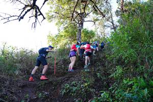 BIB: 
                            <button type="button" onclick="openModal(19371382)" class="btn btn-primary btn-sm float-right btn-popup" data-toggle="modal" data-target=".modal-high-quality">
                        <i class="fas fa-shopping-cart"></i> Add to Cart
                    </button>
                                            <button type="button" onclick="isThisMe(19371382, true)" class="btn btn-success btn-sm float-right btn-popup btn-isme hidden" data-toggle="tooltip" data-placement="bottom" title="นี่คือรูปของคุณใช่ไหม คลิกที่นี่เพื่อเอาเข้าอัลบั้ม">
                        <i class="fas fa-plus"></i> Add to album
                    </button>
                    <button type="button" onclick="isThisMe(19371382, false)" class="btn btn-warning btn-sm float-right btn-popup btn-isnotme hidden">
                        <i class="fas fa-ban"></i> Remove from album
                    </button>