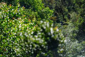 BIB: 
                            <button type="button" onclick="openModal(19371035)" class="btn btn-primary btn-sm float-right btn-popup" data-toggle="modal" data-target=".modal-high-quality">
                        <i class="fas fa-shopping-cart"></i> Add to Cart
                    </button>
                                            <button type="button" onclick="isThisMe(19371035, true)" class="btn btn-success btn-sm float-right btn-popup btn-isme hidden" data-toggle="tooltip" data-placement="bottom" title="นี่คือรูปของคุณใช่ไหม คลิกที่นี่เพื่อเอาเข้าอัลบั้ม">
                        <i class="fas fa-plus"></i> Add to album
                    </button>
                    <button type="button" onclick="isThisMe(19371035, false)" class="btn btn-warning btn-sm float-right btn-popup btn-isnotme hidden">
                        <i class="fas fa-ban"></i> Remove from album
                    </button>