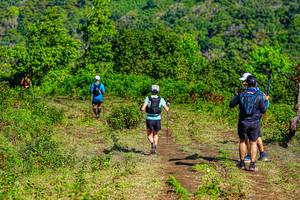 BIB: 
                            <button type="button" onclick="openModal(19371123)" class="btn btn-primary btn-sm float-right btn-popup" data-toggle="modal" data-target=".modal-high-quality">
                        <i class="fas fa-shopping-cart"></i> Add to Cart
                    </button>
                                            <button type="button" onclick="isThisMe(19371123, true)" class="btn btn-success btn-sm float-right btn-popup btn-isme hidden" data-toggle="tooltip" data-placement="bottom" title="นี่คือรูปของคุณใช่ไหม คลิกที่นี่เพื่อเอาเข้าอัลบั้ม">
                        <i class="fas fa-plus"></i> Add to album
                    </button>
                    <button type="button" onclick="isThisMe(19371123, false)" class="btn btn-warning btn-sm float-right btn-popup btn-isnotme hidden">
                        <i class="fas fa-ban"></i> Remove from album
                    </button>