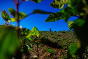 BIB: 
                            <button type="button" onclick="openModal(19371005)" class="btn btn-primary btn-sm float-right btn-popup" data-toggle="modal" data-target=".modal-high-quality">
                        <i class="fas fa-shopping-cart"></i> Add to Cart
                    </button>
                                            <button type="button" onclick="isThisMe(19371005, true)" class="btn btn-success btn-sm float-right btn-popup btn-isme hidden" data-toggle="tooltip" data-placement="bottom" title="นี่คือรูปของคุณใช่ไหม คลิกที่นี่เพื่อเอาเข้าอัลบั้ม">
                        <i class="fas fa-plus"></i> Add to album
                    </button>
                    <button type="button" onclick="isThisMe(19371005, false)" class="btn btn-warning btn-sm float-right btn-popup btn-isnotme hidden">
                        <i class="fas fa-ban"></i> Remove from album
                    </button>