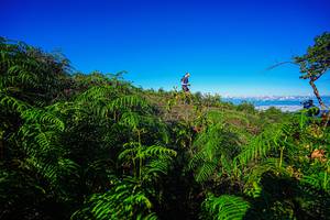 BIB: 
                            <button type="button" onclick="openModal(19371012)" class="btn btn-primary btn-sm float-right btn-popup" data-toggle="modal" data-target=".modal-high-quality">
                        <i class="fas fa-shopping-cart"></i> Add to Cart
                    </button>
                                            <button type="button" onclick="isThisMe(19371012, true)" class="btn btn-success btn-sm float-right btn-popup btn-isme hidden" data-toggle="tooltip" data-placement="bottom" title="นี่คือรูปของคุณใช่ไหม คลิกที่นี่เพื่อเอาเข้าอัลบั้ม">
                        <i class="fas fa-plus"></i> Add to album
                    </button>
                    <button type="button" onclick="isThisMe(19371012, false)" class="btn btn-warning btn-sm float-right btn-popup btn-isnotme hidden">
                        <i class="fas fa-ban"></i> Remove from album
                    </button>