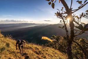 BIB: 
                            <button type="button" onclick="openModal(19369636)" class="btn btn-primary btn-sm float-right btn-popup" data-toggle="modal" data-target=".modal-high-quality">
                        <i class="fas fa-shopping-cart"></i> Add to Cart
                    </button>
                                            <button type="button" onclick="isThisMe(19369636, true)" class="btn btn-success btn-sm float-right btn-popup btn-isme hidden" data-toggle="tooltip" data-placement="bottom" title="นี่คือรูปของคุณใช่ไหม คลิกที่นี่เพื่อเอาเข้าอัลบั้ม">
                        <i class="fas fa-plus"></i> Add to album
                    </button>
                    <button type="button" onclick="isThisMe(19369636, false)" class="btn btn-warning btn-sm float-right btn-popup btn-isnotme hidden">
                        <i class="fas fa-ban"></i> Remove from album
                    </button>