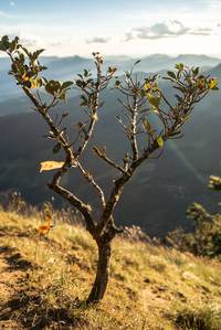 BIB: 
                            <button type="button" onclick="openModal(19369664)" class="btn btn-primary btn-sm float-right btn-popup" data-toggle="modal" data-target=".modal-high-quality">
                        <i class="fas fa-shopping-cart"></i> Add to Cart
                    </button>
                                            <button type="button" onclick="isThisMe(19369664, true)" class="btn btn-success btn-sm float-right btn-popup btn-isme hidden" data-toggle="tooltip" data-placement="bottom" title="นี่คือรูปของคุณใช่ไหม คลิกที่นี่เพื่อเอาเข้าอัลบั้ม">
                        <i class="fas fa-plus"></i> Add to album
                    </button>
                    <button type="button" onclick="isThisMe(19369664, false)" class="btn btn-warning btn-sm float-right btn-popup btn-isnotme hidden">
                        <i class="fas fa-ban"></i> Remove from album
                    </button>