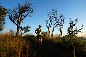 BIB: 
                            <button type="button" onclick="openModal(19371246)" class="btn btn-primary btn-sm float-right btn-popup" data-toggle="modal" data-target=".modal-high-quality">
                        <i class="fas fa-shopping-cart"></i> Add to Cart
                    </button>
                                            <button type="button" onclick="isThisMe(19371246, true)" class="btn btn-success btn-sm float-right btn-popup btn-isme hidden" data-toggle="tooltip" data-placement="bottom" title="นี่คือรูปของคุณใช่ไหม คลิกที่นี่เพื่อเอาเข้าอัลบั้ม">
                        <i class="fas fa-plus"></i> Add to album
                    </button>
                    <button type="button" onclick="isThisMe(19371246, false)" class="btn btn-warning btn-sm float-right btn-popup btn-isnotme hidden">
                        <i class="fas fa-ban"></i> Remove from album
                    </button>