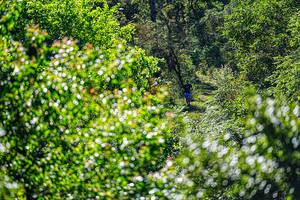 BIB: 
                            <button type="button" onclick="openModal(19371043)" class="btn btn-primary btn-sm float-right btn-popup" data-toggle="modal" data-target=".modal-high-quality">
                        <i class="fas fa-shopping-cart"></i> Add to Cart
                    </button>
                                            <button type="button" onclick="isThisMe(19371043, true)" class="btn btn-success btn-sm float-right btn-popup btn-isme hidden" data-toggle="tooltip" data-placement="bottom" title="นี่คือรูปของคุณใช่ไหม คลิกที่นี่เพื่อเอาเข้าอัลบั้ม">
                        <i class="fas fa-plus"></i> Add to album
                    </button>
                    <button type="button" onclick="isThisMe(19371043, false)" class="btn btn-warning btn-sm float-right btn-popup btn-isnotme hidden">
                        <i class="fas fa-ban"></i> Remove from album
                    </button>