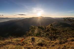 BIB: 
                            <button type="button" onclick="openModal(19369637)" class="btn btn-primary btn-sm float-right btn-popup" data-toggle="modal" data-target=".modal-high-quality">
                        <i class="fas fa-shopping-cart"></i> Add to Cart
                    </button>
                                            <button type="button" onclick="isThisMe(19369637, true)" class="btn btn-success btn-sm float-right btn-popup btn-isme hidden" data-toggle="tooltip" data-placement="bottom" title="นี่คือรูปของคุณใช่ไหม คลิกที่นี่เพื่อเอาเข้าอัลบั้ม">
                        <i class="fas fa-plus"></i> Add to album
                    </button>
                    <button type="button" onclick="isThisMe(19369637, false)" class="btn btn-warning btn-sm float-right btn-popup btn-isnotme hidden">
                        <i class="fas fa-ban"></i> Remove from album
                    </button>