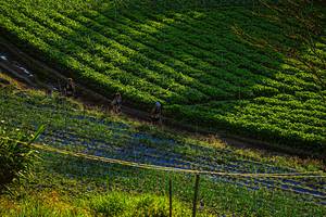 BIB: 
                            <button type="button" onclick="openModal(19370943)" class="btn btn-primary btn-sm float-right btn-popup" data-toggle="modal" data-target=".modal-high-quality">
                        <i class="fas fa-shopping-cart"></i> Add to Cart
                    </button>
                                            <button type="button" onclick="isThisMe(19370943, true)" class="btn btn-success btn-sm float-right btn-popup btn-isme hidden" data-toggle="tooltip" data-placement="bottom" title="นี่คือรูปของคุณใช่ไหม คลิกที่นี่เพื่อเอาเข้าอัลบั้ม">
                        <i class="fas fa-plus"></i> Add to album
                    </button>
                    <button type="button" onclick="isThisMe(19370943, false)" class="btn btn-warning btn-sm float-right btn-popup btn-isnotme hidden">
                        <i class="fas fa-ban"></i> Remove from album
                    </button>