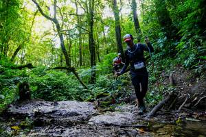 BIB: 
                            <button type="button" onclick="openModal(19371596)" class="btn btn-primary btn-sm float-right btn-popup" data-toggle="modal" data-target=".modal-high-quality">
                        <i class="fas fa-shopping-cart"></i> Add to Cart
                    </button>
                                            <button type="button" onclick="isThisMe(19371596, true)" class="btn btn-success btn-sm float-right btn-popup btn-isme hidden" data-toggle="tooltip" data-placement="bottom" title="นี่คือรูปของคุณใช่ไหม คลิกที่นี่เพื่อเอาเข้าอัลบั้ม">
                        <i class="fas fa-plus"></i> Add to album
                    </button>
                    <button type="button" onclick="isThisMe(19371596, false)" class="btn btn-warning btn-sm float-right btn-popup btn-isnotme hidden">
                        <i class="fas fa-ban"></i> Remove from album
                    </button>