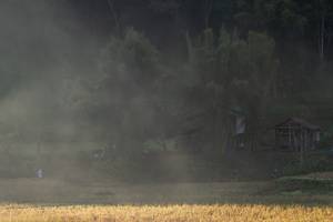 BIB: 
                            <button type="button" onclick="openModal(19376212)" class="btn btn-primary btn-sm float-right btn-popup" data-toggle="modal" data-target=".modal-high-quality">
                        <i class="fas fa-shopping-cart"></i> Add to Cart
                    </button>
                                            <button type="button" onclick="isThisMe(19376212, true)" class="btn btn-success btn-sm float-right btn-popup btn-isme hidden" data-toggle="tooltip" data-placement="bottom" title="นี่คือรูปของคุณใช่ไหม คลิกที่นี่เพื่อเอาเข้าอัลบั้ม">
                        <i class="fas fa-plus"></i> Add to album
                    </button>
                    <button type="button" onclick="isThisMe(19376212, false)" class="btn btn-warning btn-sm float-right btn-popup btn-isnotme hidden">
                        <i class="fas fa-ban"></i> Remove from album
                    </button>