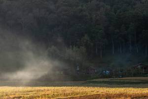 BIB: 
                            <button type="button" onclick="openModal(19376204)" class="btn btn-primary btn-sm float-right btn-popup" data-toggle="modal" data-target=".modal-high-quality">
                        <i class="fas fa-shopping-cart"></i> Add to Cart
                    </button>
                                            <button type="button" onclick="isThisMe(19376204, true)" class="btn btn-success btn-sm float-right btn-popup btn-isme hidden" data-toggle="tooltip" data-placement="bottom" title="นี่คือรูปของคุณใช่ไหม คลิกที่นี่เพื่อเอาเข้าอัลบั้ม">
                        <i class="fas fa-plus"></i> Add to album
                    </button>
                    <button type="button" onclick="isThisMe(19376204, false)" class="btn btn-warning btn-sm float-right btn-popup btn-isnotme hidden">
                        <i class="fas fa-ban"></i> Remove from album
                    </button>