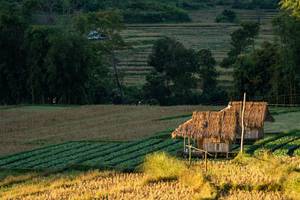 BIB: 
                            <button type="button" onclick="openModal(19376153)" class="btn btn-primary btn-sm float-right btn-popup" data-toggle="modal" data-target=".modal-high-quality">
                        <i class="fas fa-shopping-cart"></i> Add to Cart
                    </button>
                                            <button type="button" onclick="isThisMe(19376153, true)" class="btn btn-success btn-sm float-right btn-popup btn-isme hidden" data-toggle="tooltip" data-placement="bottom" title="นี่คือรูปของคุณใช่ไหม คลิกที่นี่เพื่อเอาเข้าอัลบั้ม">
                        <i class="fas fa-plus"></i> Add to album
                    </button>
                    <button type="button" onclick="isThisMe(19376153, false)" class="btn btn-warning btn-sm float-right btn-popup btn-isnotme hidden">
                        <i class="fas fa-ban"></i> Remove from album
                    </button>