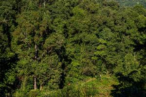 BIB: 
                            <button type="button" onclick="openModal(19376309)" class="btn btn-primary btn-sm float-right btn-popup" data-toggle="modal" data-target=".modal-high-quality">
                        <i class="fas fa-shopping-cart"></i> Add to Cart
                    </button>
                                            <button type="button" onclick="isThisMe(19376309, true)" class="btn btn-success btn-sm float-right btn-popup btn-isme hidden" data-toggle="tooltip" data-placement="bottom" title="นี่คือรูปของคุณใช่ไหม คลิกที่นี่เพื่อเอาเข้าอัลบั้ม">
                        <i class="fas fa-plus"></i> Add to album
                    </button>
                    <button type="button" onclick="isThisMe(19376309, false)" class="btn btn-warning btn-sm float-right btn-popup btn-isnotme hidden">
                        <i class="fas fa-ban"></i> Remove from album
                    </button>