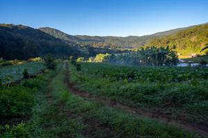 BIB: 
                            <button type="button" onclick="openModal(19376862)" class="btn btn-primary btn-sm float-right btn-popup" data-toggle="modal" data-target=".modal-high-quality">
                        <i class="fas fa-shopping-cart"></i> Add to Cart
                    </button>
                                            <button type="button" onclick="isThisMe(19376862, true)" class="btn btn-success btn-sm float-right btn-popup btn-isme hidden" data-toggle="tooltip" data-placement="bottom" title="นี่คือรูปของคุณใช่ไหม คลิกที่นี่เพื่อเอาเข้าอัลบั้ม">
                        <i class="fas fa-plus"></i> Add to album
                    </button>
                    <button type="button" onclick="isThisMe(19376862, false)" class="btn btn-warning btn-sm float-right btn-popup btn-isnotme hidden">
                        <i class="fas fa-ban"></i> Remove from album
                    </button>