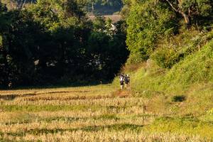 BIB: 
                            <button type="button" onclick="openModal(19376213)" class="btn btn-primary btn-sm float-right btn-popup" data-toggle="modal" data-target=".modal-high-quality">
                        <i class="fas fa-shopping-cart"></i> Add to Cart
                    </button>
                                            <button type="button" onclick="isThisMe(19376213, true)" class="btn btn-success btn-sm float-right btn-popup btn-isme hidden" data-toggle="tooltip" data-placement="bottom" title="นี่คือรูปของคุณใช่ไหม คลิกที่นี่เพื่อเอาเข้าอัลบั้ม">
                        <i class="fas fa-plus"></i> Add to album
                    </button>
                    <button type="button" onclick="isThisMe(19376213, false)" class="btn btn-warning btn-sm float-right btn-popup btn-isnotme hidden">
                        <i class="fas fa-ban"></i> Remove from album
                    </button>