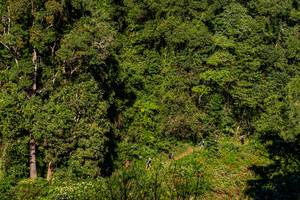 BIB: 
                            <button type="button" onclick="openModal(19376308)" class="btn btn-primary btn-sm float-right btn-popup" data-toggle="modal" data-target=".modal-high-quality">
                        <i class="fas fa-shopping-cart"></i> Add to Cart
                    </button>
                                            <button type="button" onclick="isThisMe(19376308, true)" class="btn btn-success btn-sm float-right btn-popup btn-isme hidden" data-toggle="tooltip" data-placement="bottom" title="นี่คือรูปของคุณใช่ไหม คลิกที่นี่เพื่อเอาเข้าอัลบั้ม">
                        <i class="fas fa-plus"></i> Add to album
                    </button>
                    <button type="button" onclick="isThisMe(19376308, false)" class="btn btn-warning btn-sm float-right btn-popup btn-isnotme hidden">
                        <i class="fas fa-ban"></i> Remove from album
                    </button>