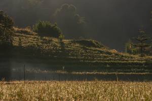 BIB: 
                            <button type="button" onclick="openModal(19376175)" class="btn btn-primary btn-sm float-right btn-popup" data-toggle="modal" data-target=".modal-high-quality">
                        <i class="fas fa-shopping-cart"></i> Add to Cart
                    </button>
                                            <button type="button" onclick="isThisMe(19376175, true)" class="btn btn-success btn-sm float-right btn-popup btn-isme hidden" data-toggle="tooltip" data-placement="bottom" title="นี่คือรูปของคุณใช่ไหม คลิกที่นี่เพื่อเอาเข้าอัลบั้ม">
                        <i class="fas fa-plus"></i> Add to album
                    </button>
                    <button type="button" onclick="isThisMe(19376175, false)" class="btn btn-warning btn-sm float-right btn-popup btn-isnotme hidden">
                        <i class="fas fa-ban"></i> Remove from album
                    </button>