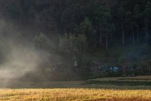 BIB: 
                            <button type="button" onclick="openModal(19376206)" class="btn btn-primary btn-sm float-right btn-popup" data-toggle="modal" data-target=".modal-high-quality">
                        <i class="fas fa-shopping-cart"></i> Add to Cart
                    </button>
                                            <button type="button" onclick="isThisMe(19376206, true)" class="btn btn-success btn-sm float-right btn-popup btn-isme hidden" data-toggle="tooltip" data-placement="bottom" title="นี่คือรูปของคุณใช่ไหม คลิกที่นี่เพื่อเอาเข้าอัลบั้ม">
                        <i class="fas fa-plus"></i> Add to album
                    </button>
                    <button type="button" onclick="isThisMe(19376206, false)" class="btn btn-warning btn-sm float-right btn-popup btn-isnotme hidden">
                        <i class="fas fa-ban"></i> Remove from album
                    </button>