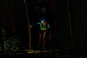 BIB: 
                            <button type="button" onclick="openModal(19376110)" class="btn btn-primary btn-sm float-right btn-popup" data-toggle="modal" data-target=".modal-high-quality">
                        <i class="fas fa-shopping-cart"></i> Add to Cart
                    </button>
                                            <button type="button" onclick="isThisMe(19376110, true)" class="btn btn-success btn-sm float-right btn-popup btn-isme hidden" data-toggle="tooltip" data-placement="bottom" title="นี่คือรูปของคุณใช่ไหม คลิกที่นี่เพื่อเอาเข้าอัลบั้ม">
                        <i class="fas fa-plus"></i> Add to album
                    </button>
                    <button type="button" onclick="isThisMe(19376110, false)" class="btn btn-warning btn-sm float-right btn-popup btn-isnotme hidden">
                        <i class="fas fa-ban"></i> Remove from album
                    </button>