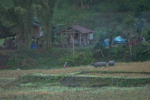 BIB: 
                            <button type="button" onclick="openModal(19376155)" class="btn btn-primary btn-sm float-right btn-popup" data-toggle="modal" data-target=".modal-high-quality">
                        <i class="fas fa-shopping-cart"></i> Add to Cart
                    </button>
                                            <button type="button" onclick="isThisMe(19376155, true)" class="btn btn-success btn-sm float-right btn-popup btn-isme hidden" data-toggle="tooltip" data-placement="bottom" title="นี่คือรูปของคุณใช่ไหม คลิกที่นี่เพื่อเอาเข้าอัลบั้ม">
                        <i class="fas fa-plus"></i> Add to album
                    </button>
                    <button type="button" onclick="isThisMe(19376155, false)" class="btn btn-warning btn-sm float-right btn-popup btn-isnotme hidden">
                        <i class="fas fa-ban"></i> Remove from album
                    </button>