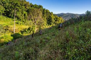 BIB: 
                            <button type="button" onclick="openModal(19377084)" class="btn btn-primary btn-sm float-right btn-popup" data-toggle="modal" data-target=".modal-high-quality">
                        <i class="fas fa-shopping-cart"></i> Add to Cart
                    </button>
                                            <button type="button" onclick="isThisMe(19377084, true)" class="btn btn-success btn-sm float-right btn-popup btn-isme hidden" data-toggle="tooltip" data-placement="bottom" title="นี่คือรูปของคุณใช่ไหม คลิกที่นี่เพื่อเอาเข้าอัลบั้ม">
                        <i class="fas fa-plus"></i> Add to album
                    </button>
                    <button type="button" onclick="isThisMe(19377084, false)" class="btn btn-warning btn-sm float-right btn-popup btn-isnotme hidden">
                        <i class="fas fa-ban"></i> Remove from album
                    </button>