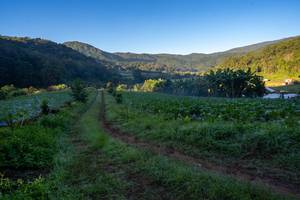 BIB: 
                            <button type="button" onclick="openModal(19376863)" class="btn btn-primary btn-sm float-right btn-popup" data-toggle="modal" data-target=".modal-high-quality">
                        <i class="fas fa-shopping-cart"></i> Add to Cart
                    </button>
                                            <button type="button" onclick="isThisMe(19376863, true)" class="btn btn-success btn-sm float-right btn-popup btn-isme hidden" data-toggle="tooltip" data-placement="bottom" title="นี่คือรูปของคุณใช่ไหม คลิกที่นี่เพื่อเอาเข้าอัลบั้ม">
                        <i class="fas fa-plus"></i> Add to album
                    </button>
                    <button type="button" onclick="isThisMe(19376863, false)" class="btn btn-warning btn-sm float-right btn-popup btn-isnotme hidden">
                        <i class="fas fa-ban"></i> Remove from album
                    </button>