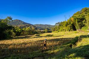 BIB: 
                            <button type="button" onclick="openModal(19376897)" class="btn btn-primary btn-sm float-right btn-popup" data-toggle="modal" data-target=".modal-high-quality">
                        <i class="fas fa-shopping-cart"></i> Add to Cart
                    </button>
                                            <button type="button" onclick="isThisMe(19376897, true)" class="btn btn-success btn-sm float-right btn-popup btn-isme hidden" data-toggle="tooltip" data-placement="bottom" title="นี่คือรูปของคุณใช่ไหม คลิกที่นี่เพื่อเอาเข้าอัลบั้ม">
                        <i class="fas fa-plus"></i> Add to album
                    </button>
                    <button type="button" onclick="isThisMe(19376897, false)" class="btn btn-warning btn-sm float-right btn-popup btn-isnotme hidden">
                        <i class="fas fa-ban"></i> Remove from album
                    </button>