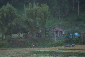 BIB: 
                            <button type="button" onclick="openModal(19376162)" class="btn btn-primary btn-sm float-right btn-popup" data-toggle="modal" data-target=".modal-high-quality">
                        <i class="fas fa-shopping-cart"></i> Add to Cart
                    </button>
                                            <button type="button" onclick="isThisMe(19376162, true)" class="btn btn-success btn-sm float-right btn-popup btn-isme hidden" data-toggle="tooltip" data-placement="bottom" title="นี่คือรูปของคุณใช่ไหม คลิกที่นี่เพื่อเอาเข้าอัลบั้ม">
                        <i class="fas fa-plus"></i> Add to album
                    </button>
                    <button type="button" onclick="isThisMe(19376162, false)" class="btn btn-warning btn-sm float-right btn-popup btn-isnotme hidden">
                        <i class="fas fa-ban"></i> Remove from album
                    </button>