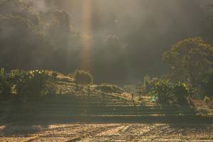 BIB: 
                            <button type="button" onclick="openModal(19376168)" class="btn btn-primary btn-sm float-right btn-popup" data-toggle="modal" data-target=".modal-high-quality">
                        <i class="fas fa-shopping-cart"></i> Add to Cart
                    </button>
                                            <button type="button" onclick="isThisMe(19376168, true)" class="btn btn-success btn-sm float-right btn-popup btn-isme hidden" data-toggle="tooltip" data-placement="bottom" title="นี่คือรูปของคุณใช่ไหม คลิกที่นี่เพื่อเอาเข้าอัลบั้ม">
                        <i class="fas fa-plus"></i> Add to album
                    </button>
                    <button type="button" onclick="isThisMe(19376168, false)" class="btn btn-warning btn-sm float-right btn-popup btn-isnotme hidden">
                        <i class="fas fa-ban"></i> Remove from album
                    </button>