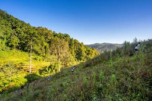 BIB: 
                            <button type="button" onclick="openModal(19377078)" class="btn btn-primary btn-sm float-right btn-popup" data-toggle="modal" data-target=".modal-high-quality">
                        <i class="fas fa-shopping-cart"></i> Add to Cart
                    </button>
                                            <button type="button" onclick="isThisMe(19377078, true)" class="btn btn-success btn-sm float-right btn-popup btn-isme hidden" data-toggle="tooltip" data-placement="bottom" title="นี่คือรูปของคุณใช่ไหม คลิกที่นี่เพื่อเอาเข้าอัลบั้ม">
                        <i class="fas fa-plus"></i> Add to album
                    </button>
                    <button type="button" onclick="isThisMe(19377078, false)" class="btn btn-warning btn-sm float-right btn-popup btn-isnotme hidden">
                        <i class="fas fa-ban"></i> Remove from album
                    </button>