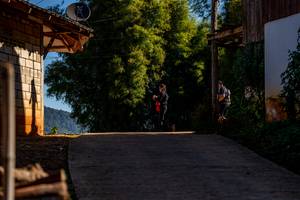 BIB: 
                            <button type="button" onclick="openModal(19376409)" class="btn btn-primary btn-sm float-right btn-popup" data-toggle="modal" data-target=".modal-high-quality">
                        <i class="fas fa-shopping-cart"></i> Add to Cart
                    </button>
                                            <button type="button" onclick="isThisMe(19376409, true)" class="btn btn-success btn-sm float-right btn-popup btn-isme hidden" data-toggle="tooltip" data-placement="bottom" title="นี่คือรูปของคุณใช่ไหม คลิกที่นี่เพื่อเอาเข้าอัลบั้ม">
                        <i class="fas fa-plus"></i> Add to album
                    </button>
                    <button type="button" onclick="isThisMe(19376409, false)" class="btn btn-warning btn-sm float-right btn-popup btn-isnotme hidden">
                        <i class="fas fa-ban"></i> Remove from album
                    </button>