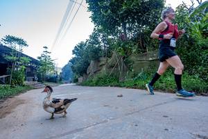 BIB: 
                            <button type="button" onclick="openModal(19376965)" class="btn btn-primary btn-sm float-right btn-popup" data-toggle="modal" data-target=".modal-high-quality">
                        <i class="fas fa-shopping-cart"></i> Add to Cart
                    </button>
                                            <button type="button" onclick="isThisMe(19376965, true)" class="btn btn-success btn-sm float-right btn-popup btn-isme hidden" data-toggle="tooltip" data-placement="bottom" title="นี่คือรูปของคุณใช่ไหม คลิกที่นี่เพื่อเอาเข้าอัลบั้ม">
                        <i class="fas fa-plus"></i> Add to album
                    </button>
                    <button type="button" onclick="isThisMe(19376965, false)" class="btn btn-warning btn-sm float-right btn-popup btn-isnotme hidden">
                        <i class="fas fa-ban"></i> Remove from album
                    </button>