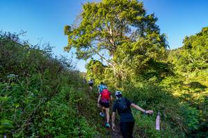 BIB: 
                            <button type="button" onclick="openModal(19377041)" class="btn btn-primary btn-sm float-right btn-popup" data-toggle="modal" data-target=".modal-high-quality">
                        <i class="fas fa-shopping-cart"></i> Add to Cart
                    </button>
                                            <button type="button" onclick="isThisMe(19377041, true)" class="btn btn-success btn-sm float-right btn-popup btn-isme hidden" data-toggle="tooltip" data-placement="bottom" title="นี่คือรูปของคุณใช่ไหม คลิกที่นี่เพื่อเอาเข้าอัลบั้ม">
                        <i class="fas fa-plus"></i> Add to album
                    </button>
                    <button type="button" onclick="isThisMe(19377041, false)" class="btn btn-warning btn-sm float-right btn-popup btn-isnotme hidden">
                        <i class="fas fa-ban"></i> Remove from album
                    </button>