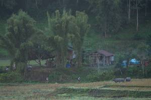 BIB: 
                            <button type="button" onclick="openModal(19376157)" class="btn btn-primary btn-sm float-right btn-popup" data-toggle="modal" data-target=".modal-high-quality">
                        <i class="fas fa-shopping-cart"></i> Add to Cart
                    </button>
                                            <button type="button" onclick="isThisMe(19376157, true)" class="btn btn-success btn-sm float-right btn-popup btn-isme hidden" data-toggle="tooltip" data-placement="bottom" title="นี่คือรูปของคุณใช่ไหม คลิกที่นี่เพื่อเอาเข้าอัลบั้ม">
                        <i class="fas fa-plus"></i> Add to album
                    </button>
                    <button type="button" onclick="isThisMe(19376157, false)" class="btn btn-warning btn-sm float-right btn-popup btn-isnotme hidden">
                        <i class="fas fa-ban"></i> Remove from album
                    </button>