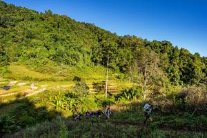 BIB: 
                            <button type="button" onclick="openModal(19377093)" class="btn btn-primary btn-sm float-right btn-popup" data-toggle="modal" data-target=".modal-high-quality">
                        <i class="fas fa-shopping-cart"></i> Add to Cart
                    </button>
                                            <button type="button" onclick="isThisMe(19377093, true)" class="btn btn-success btn-sm float-right btn-popup btn-isme hidden" data-toggle="tooltip" data-placement="bottom" title="นี่คือรูปของคุณใช่ไหม คลิกที่นี่เพื่อเอาเข้าอัลบั้ม">
                        <i class="fas fa-plus"></i> Add to album
                    </button>
                    <button type="button" onclick="isThisMe(19377093, false)" class="btn btn-warning btn-sm float-right btn-popup btn-isnotme hidden">
                        <i class="fas fa-ban"></i> Remove from album
                    </button>