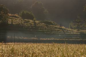 BIB: 
                            <button type="button" onclick="openModal(19376189)" class="btn btn-primary btn-sm float-right btn-popup" data-toggle="modal" data-target=".modal-high-quality">
                        <i class="fas fa-shopping-cart"></i> Add to Cart
                    </button>
                                            <button type="button" onclick="isThisMe(19376189, true)" class="btn btn-success btn-sm float-right btn-popup btn-isme hidden" data-toggle="tooltip" data-placement="bottom" title="นี่คือรูปของคุณใช่ไหม คลิกที่นี่เพื่อเอาเข้าอัลบั้ม">
                        <i class="fas fa-plus"></i> Add to album
                    </button>
                    <button type="button" onclick="isThisMe(19376189, false)" class="btn btn-warning btn-sm float-right btn-popup btn-isnotme hidden">
                        <i class="fas fa-ban"></i> Remove from album
                    </button>