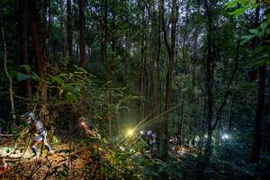 BIB: 
                            <button type="button" onclick="openModal(19376823)" class="btn btn-primary btn-sm float-right btn-popup" data-toggle="modal" data-target=".modal-high-quality">
                        <i class="fas fa-shopping-cart"></i> Add to Cart
                    </button>
                                            <button type="button" onclick="isThisMe(19376823, true)" class="btn btn-success btn-sm float-right btn-popup btn-isme hidden" data-toggle="tooltip" data-placement="bottom" title="นี่คือรูปของคุณใช่ไหม คลิกที่นี่เพื่อเอาเข้าอัลบั้ม">
                        <i class="fas fa-plus"></i> Add to album
                    </button>
                    <button type="button" onclick="isThisMe(19376823, false)" class="btn btn-warning btn-sm float-right btn-popup btn-isnotme hidden">
                        <i class="fas fa-ban"></i> Remove from album
                    </button>