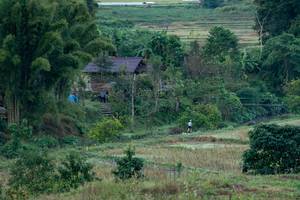 BIB: 
                            <button type="button" onclick="openModal(19376122)" class="btn btn-primary btn-sm float-right btn-popup" data-toggle="modal" data-target=".modal-high-quality">
                        <i class="fas fa-shopping-cart"></i> Add to Cart
                    </button>
                                            <button type="button" onclick="isThisMe(19376122, true)" class="btn btn-success btn-sm float-right btn-popup btn-isme hidden" data-toggle="tooltip" data-placement="bottom" title="นี่คือรูปของคุณใช่ไหม คลิกที่นี่เพื่อเอาเข้าอัลบั้ม">
                        <i class="fas fa-plus"></i> Add to album
                    </button>
                    <button type="button" onclick="isThisMe(19376122, false)" class="btn btn-warning btn-sm float-right btn-popup btn-isnotme hidden">
                        <i class="fas fa-ban"></i> Remove from album
                    </button>