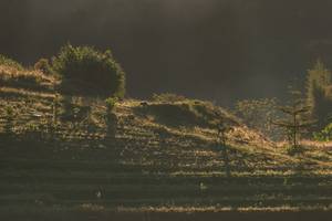 BIB: 
                            <button type="button" onclick="openModal(19376167)" class="btn btn-primary btn-sm float-right btn-popup" data-toggle="modal" data-target=".modal-high-quality">
                        <i class="fas fa-shopping-cart"></i> Add to Cart
                    </button>
                                            <button type="button" onclick="isThisMe(19376167, true)" class="btn btn-success btn-sm float-right btn-popup btn-isme hidden" data-toggle="tooltip" data-placement="bottom" title="นี่คือรูปของคุณใช่ไหม คลิกที่นี่เพื่อเอาเข้าอัลบั้ม">
                        <i class="fas fa-plus"></i> Add to album
                    </button>
                    <button type="button" onclick="isThisMe(19376167, false)" class="btn btn-warning btn-sm float-right btn-popup btn-isnotme hidden">
                        <i class="fas fa-ban"></i> Remove from album
                    </button>