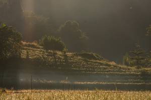 BIB: 
                            <button type="button" onclick="openModal(19376181)" class="btn btn-primary btn-sm float-right btn-popup" data-toggle="modal" data-target=".modal-high-quality">
                        <i class="fas fa-shopping-cart"></i> Add to Cart
                    </button>
                                            <button type="button" onclick="isThisMe(19376181, true)" class="btn btn-success btn-sm float-right btn-popup btn-isme hidden" data-toggle="tooltip" data-placement="bottom" title="นี่คือรูปของคุณใช่ไหม คลิกที่นี่เพื่อเอาเข้าอัลบั้ม">
                        <i class="fas fa-plus"></i> Add to album
                    </button>
                    <button type="button" onclick="isThisMe(19376181, false)" class="btn btn-warning btn-sm float-right btn-popup btn-isnotme hidden">
                        <i class="fas fa-ban"></i> Remove from album
                    </button>