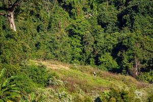 BIB: 
                            <button type="button" onclick="openModal(19376331)" class="btn btn-primary btn-sm float-right btn-popup" data-toggle="modal" data-target=".modal-high-quality">
                        <i class="fas fa-shopping-cart"></i> Add to Cart
                    </button>
                                            <button type="button" onclick="isThisMe(19376331, true)" class="btn btn-success btn-sm float-right btn-popup btn-isme hidden" data-toggle="tooltip" data-placement="bottom" title="นี่คือรูปของคุณใช่ไหม คลิกที่นี่เพื่อเอาเข้าอัลบั้ม">
                        <i class="fas fa-plus"></i> Add to album
                    </button>
                    <button type="button" onclick="isThisMe(19376331, false)" class="btn btn-warning btn-sm float-right btn-popup btn-isnotme hidden">
                        <i class="fas fa-ban"></i> Remove from album
                    </button>