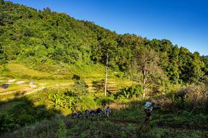 BIB: 
                            <button type="button" onclick="openModal(19377097)" class="btn btn-primary btn-sm float-right btn-popup" data-toggle="modal" data-target=".modal-high-quality">
                        <i class="fas fa-shopping-cart"></i> Add to Cart
                    </button>
                                            <button type="button" onclick="isThisMe(19377097, true)" class="btn btn-success btn-sm float-right btn-popup btn-isme hidden" data-toggle="tooltip" data-placement="bottom" title="นี่คือรูปของคุณใช่ไหม คลิกที่นี่เพื่อเอาเข้าอัลบั้ม">
                        <i class="fas fa-plus"></i> Add to album
                    </button>
                    <button type="button" onclick="isThisMe(19377097, false)" class="btn btn-warning btn-sm float-right btn-popup btn-isnotme hidden">
                        <i class="fas fa-ban"></i> Remove from album
                    </button>