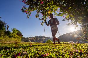 BIB: 
                            <button type="button" onclick="openModal(19376888)" class="btn btn-primary btn-sm float-right btn-popup" data-toggle="modal" data-target=".modal-high-quality">
                        <i class="fas fa-shopping-cart"></i> Add to Cart
                    </button>
                                            <button type="button" onclick="isThisMe(19376888, true)" class="btn btn-success btn-sm float-right btn-popup btn-isme hidden" data-toggle="tooltip" data-placement="bottom" title="นี่คือรูปของคุณใช่ไหม คลิกที่นี่เพื่อเอาเข้าอัลบั้ม">
                        <i class="fas fa-plus"></i> Add to album
                    </button>
                    <button type="button" onclick="isThisMe(19376888, false)" class="btn btn-warning btn-sm float-right btn-popup btn-isnotme hidden">
                        <i class="fas fa-ban"></i> Remove from album
                    </button>