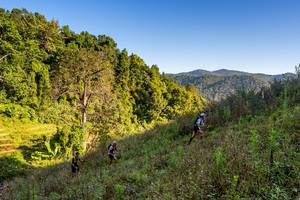 BIB: 
                            <button type="button" onclick="openModal(19377082)" class="btn btn-primary btn-sm float-right btn-popup" data-toggle="modal" data-target=".modal-high-quality">
                        <i class="fas fa-shopping-cart"></i> Add to Cart
                    </button>
                                            <button type="button" onclick="isThisMe(19377082, true)" class="btn btn-success btn-sm float-right btn-popup btn-isme hidden" data-toggle="tooltip" data-placement="bottom" title="นี่คือรูปของคุณใช่ไหม คลิกที่นี่เพื่อเอาเข้าอัลบั้ม">
                        <i class="fas fa-plus"></i> Add to album
                    </button>
                    <button type="button" onclick="isThisMe(19377082, false)" class="btn btn-warning btn-sm float-right btn-popup btn-isnotme hidden">
                        <i class="fas fa-ban"></i> Remove from album
                    </button>