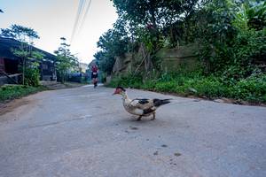 BIB: 
                            <button type="button" onclick="openModal(19376956)" class="btn btn-primary btn-sm float-right btn-popup" data-toggle="modal" data-target=".modal-high-quality">
                        <i class="fas fa-shopping-cart"></i> Add to Cart
                    </button>
                                            <button type="button" onclick="isThisMe(19376956, true)" class="btn btn-success btn-sm float-right btn-popup btn-isme hidden" data-toggle="tooltip" data-placement="bottom" title="นี่คือรูปของคุณใช่ไหม คลิกที่นี่เพื่อเอาเข้าอัลบั้ม">
                        <i class="fas fa-plus"></i> Add to album
                    </button>
                    <button type="button" onclick="isThisMe(19376956, false)" class="btn btn-warning btn-sm float-right btn-popup btn-isnotme hidden">
                        <i class="fas fa-ban"></i> Remove from album
                    </button>