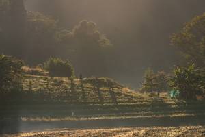 BIB: 
                            <button type="button" onclick="openModal(19376202)" class="btn btn-primary btn-sm float-right btn-popup" data-toggle="modal" data-target=".modal-high-quality">
                        <i class="fas fa-shopping-cart"></i> Add to Cart
                    </button>
                                            <button type="button" onclick="isThisMe(19376202, true)" class="btn btn-success btn-sm float-right btn-popup btn-isme hidden" data-toggle="tooltip" data-placement="bottom" title="นี่คือรูปของคุณใช่ไหม คลิกที่นี่เพื่อเอาเข้าอัลบั้ม">
                        <i class="fas fa-plus"></i> Add to album
                    </button>
                    <button type="button" onclick="isThisMe(19376202, false)" class="btn btn-warning btn-sm float-right btn-popup btn-isnotme hidden">
                        <i class="fas fa-ban"></i> Remove from album
                    </button>