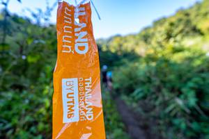 BIB: 
                            <button type="button" onclick="openModal(19377043)" class="btn btn-primary btn-sm float-right btn-popup" data-toggle="modal" data-target=".modal-high-quality">
                        <i class="fas fa-shopping-cart"></i> Add to Cart
                    </button>
                                            <button type="button" onclick="isThisMe(19377043, true)" class="btn btn-success btn-sm float-right btn-popup btn-isme hidden" data-toggle="tooltip" data-placement="bottom" title="นี่คือรูปของคุณใช่ไหม คลิกที่นี่เพื่อเอาเข้าอัลบั้ม">
                        <i class="fas fa-plus"></i> Add to album
                    </button>
                    <button type="button" onclick="isThisMe(19377043, false)" class="btn btn-warning btn-sm float-right btn-popup btn-isnotme hidden">
                        <i class="fas fa-ban"></i> Remove from album
                    </button>