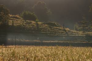 BIB: 
                            <button type="button" onclick="openModal(19376186)" class="btn btn-primary btn-sm float-right btn-popup" data-toggle="modal" data-target=".modal-high-quality">
                        <i class="fas fa-shopping-cart"></i> Add to Cart
                    </button>
                                            <button type="button" onclick="isThisMe(19376186, true)" class="btn btn-success btn-sm float-right btn-popup btn-isme hidden" data-toggle="tooltip" data-placement="bottom" title="นี่คือรูปของคุณใช่ไหม คลิกที่นี่เพื่อเอาเข้าอัลบั้ม">
                        <i class="fas fa-plus"></i> Add to album
                    </button>
                    <button type="button" onclick="isThisMe(19376186, false)" class="btn btn-warning btn-sm float-right btn-popup btn-isnotme hidden">
                        <i class="fas fa-ban"></i> Remove from album
                    </button>