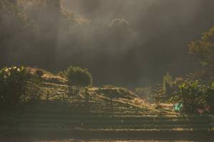 BIB: 
                            <button type="button" onclick="openModal(19376166)" class="btn btn-primary btn-sm float-right btn-popup" data-toggle="modal" data-target=".modal-high-quality">
                        <i class="fas fa-shopping-cart"></i> Add to Cart
                    </button>
                                            <button type="button" onclick="isThisMe(19376166, true)" class="btn btn-success btn-sm float-right btn-popup btn-isme hidden" data-toggle="tooltip" data-placement="bottom" title="นี่คือรูปของคุณใช่ไหม คลิกที่นี่เพื่อเอาเข้าอัลบั้ม">
                        <i class="fas fa-plus"></i> Add to album
                    </button>
                    <button type="button" onclick="isThisMe(19376166, false)" class="btn btn-warning btn-sm float-right btn-popup btn-isnotme hidden">
                        <i class="fas fa-ban"></i> Remove from album
                    </button>